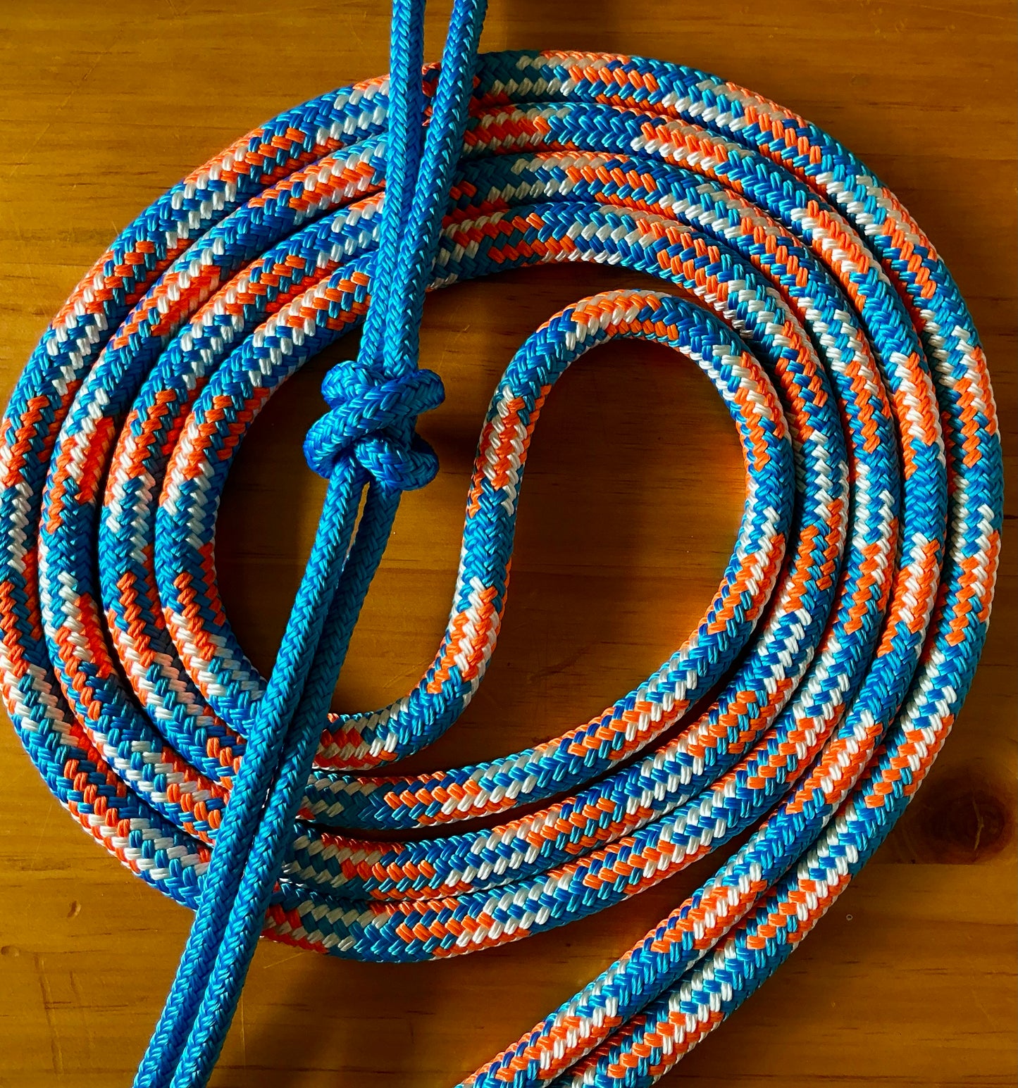 Bitless Bridles