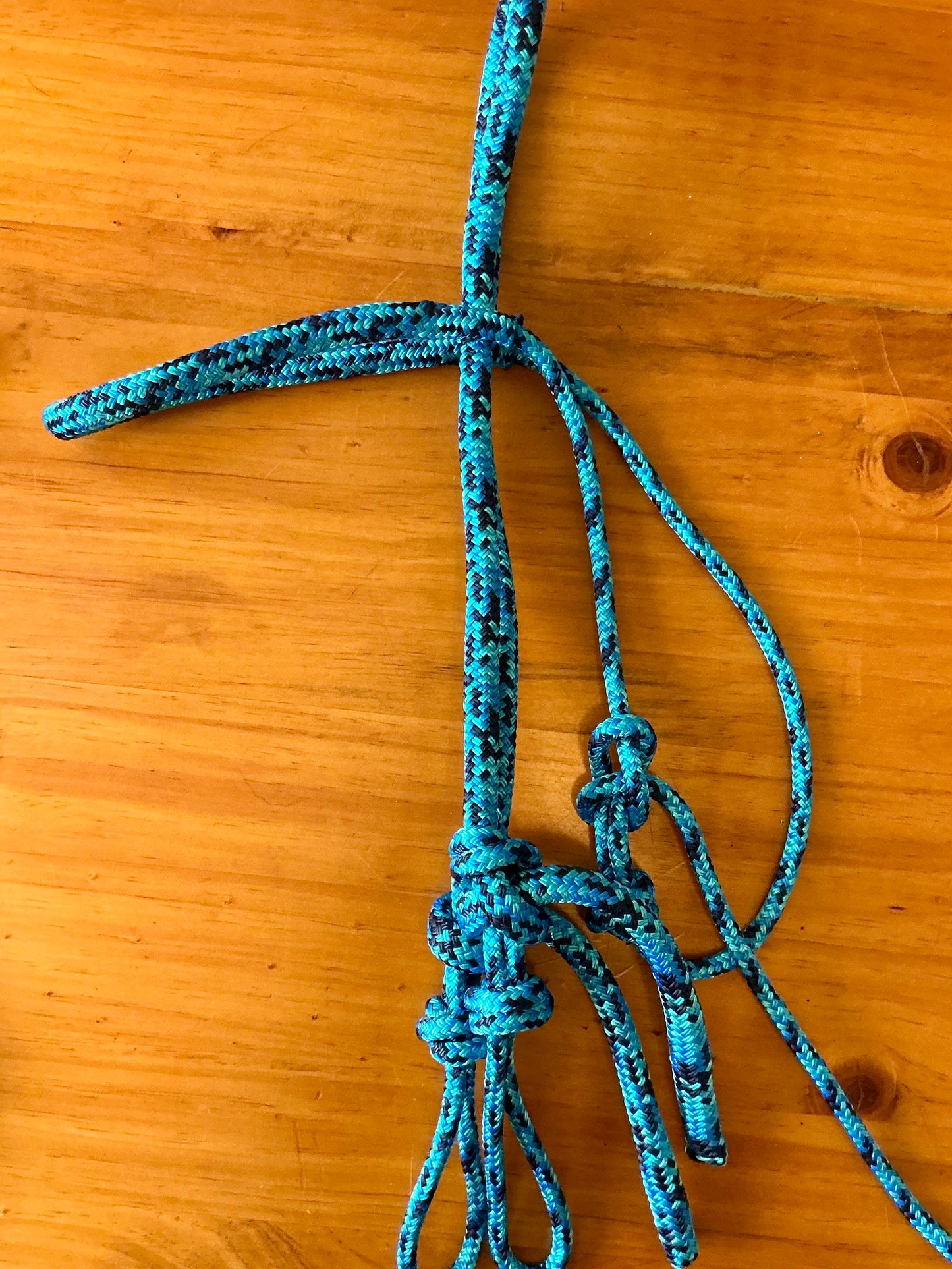 Rope Bridles More colours coming soon!