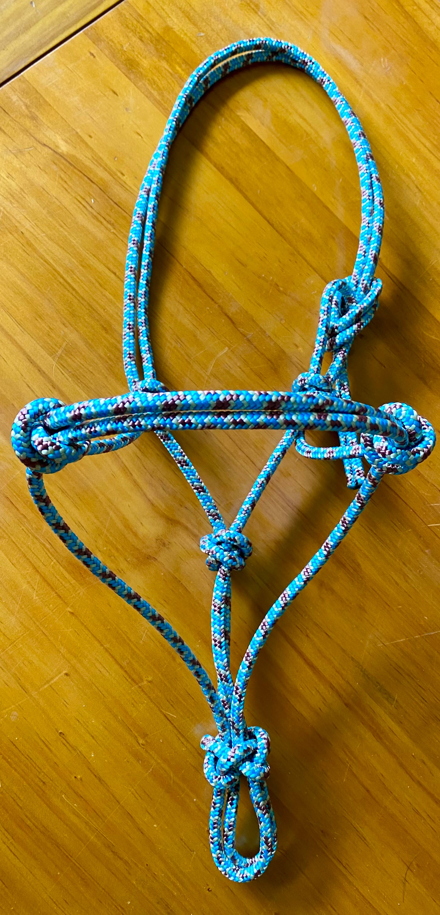Stiff Rope Training Halter