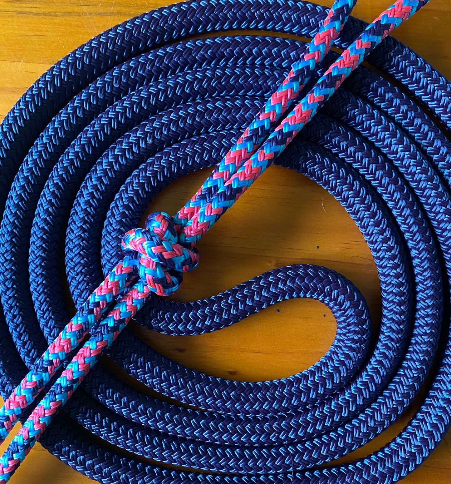 Bitless Bridles