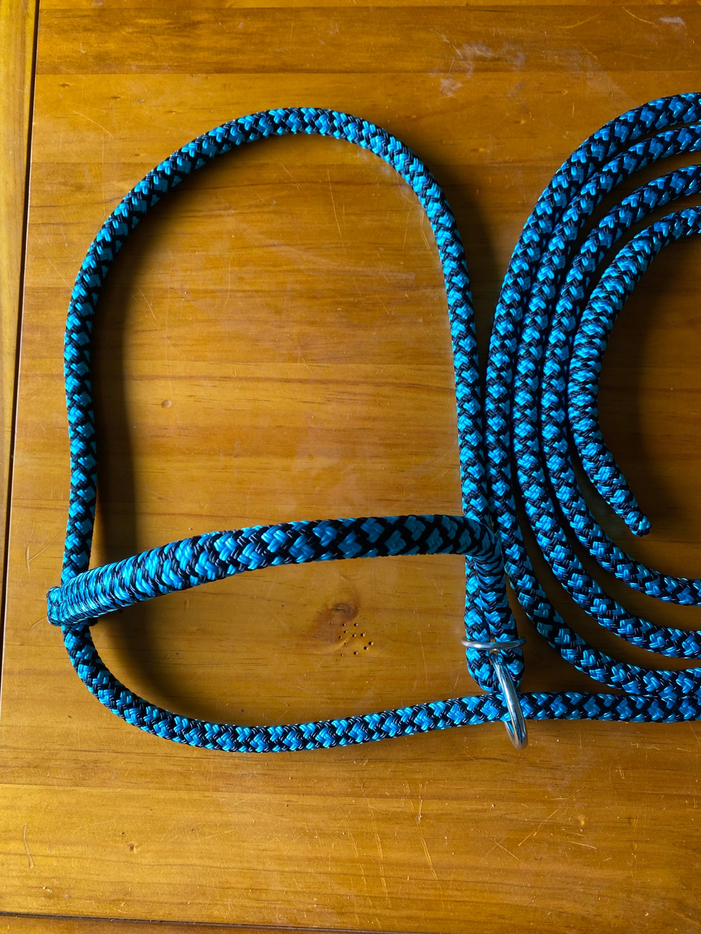 Cattle Halters