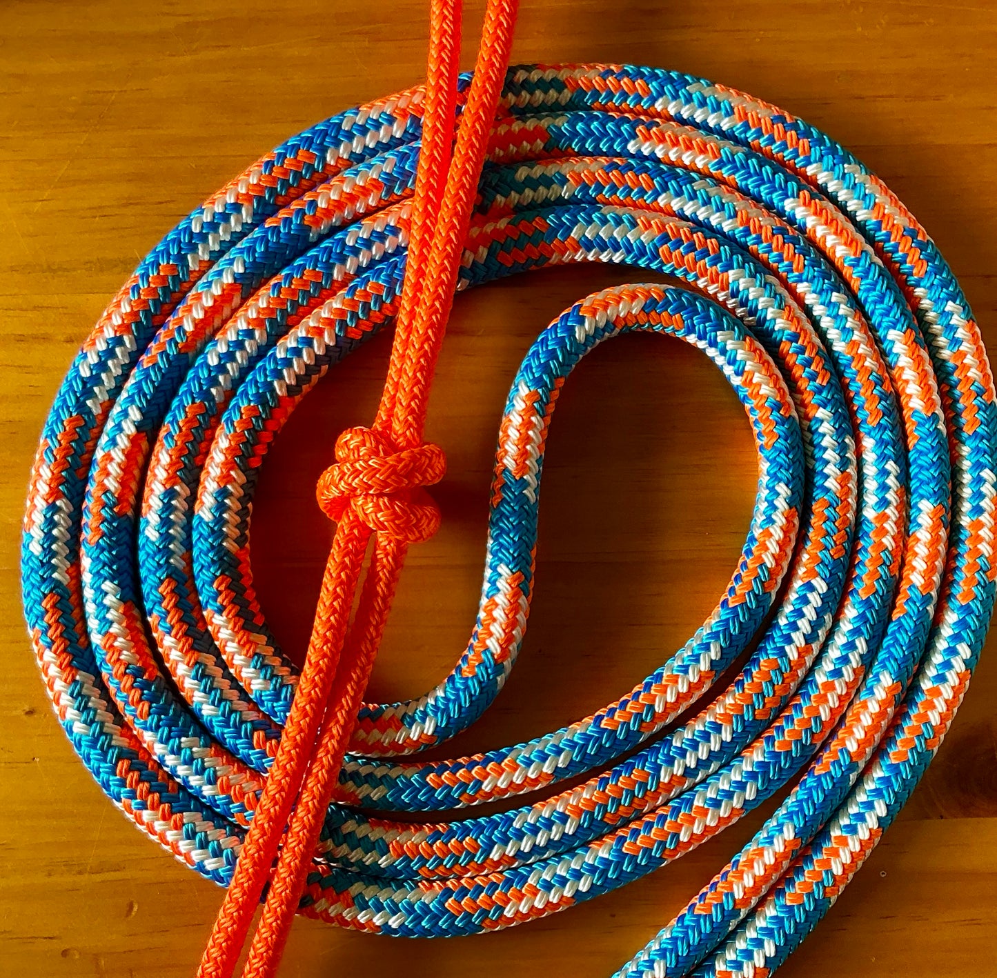Bitless Bridles