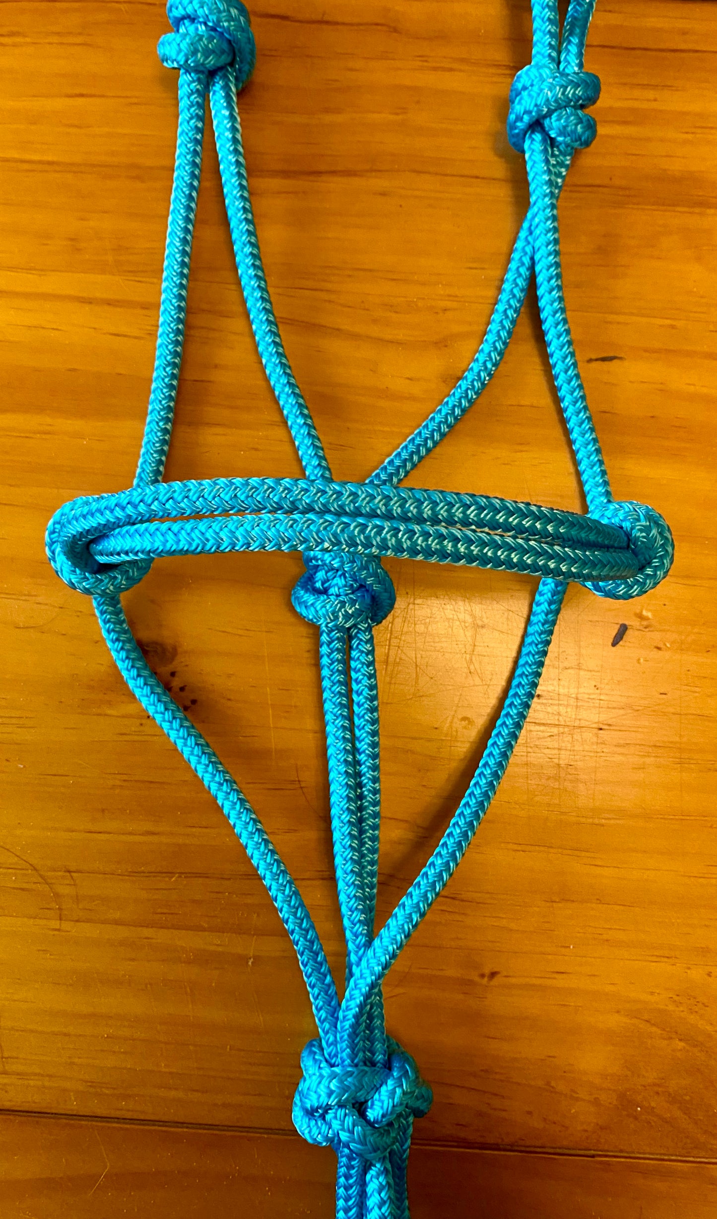 Full-size and Cob size Halters