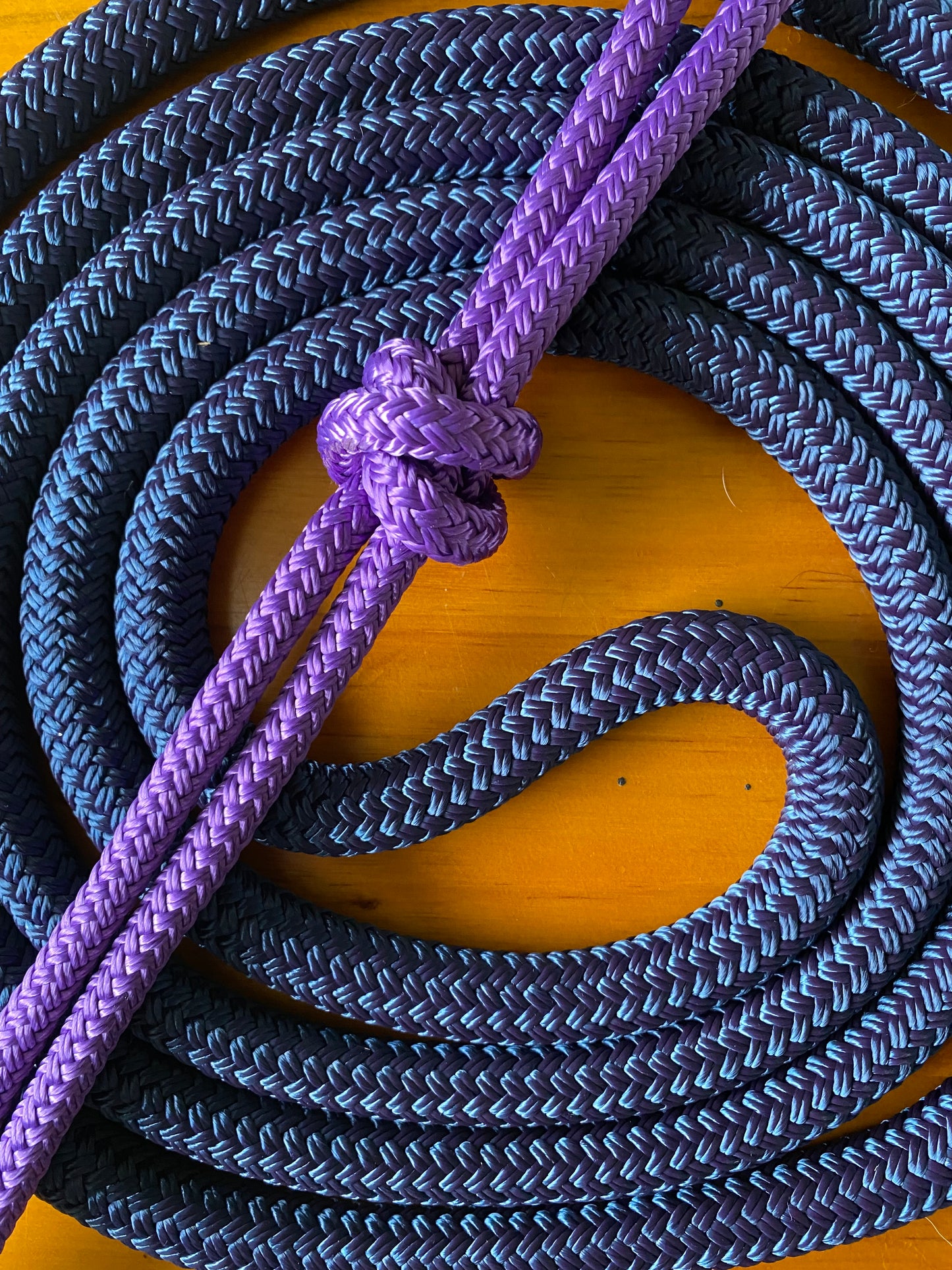 Bitless Bridles